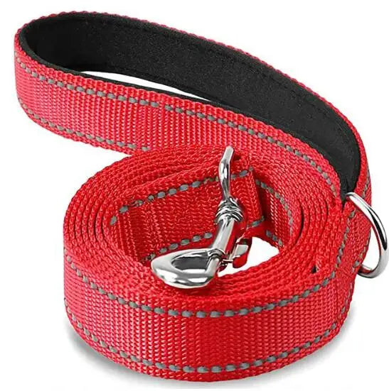Dogs Lead Strap Night Reflection Walking or Training Leash