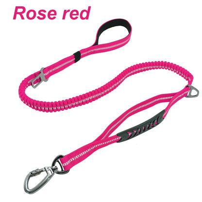 Reflective Nylon Multi-functional Retractable Dog Leash with Car Safety Buckle