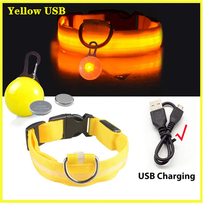 Glowing Led Light Dog Collar With Detachable Pendant Usb Charging