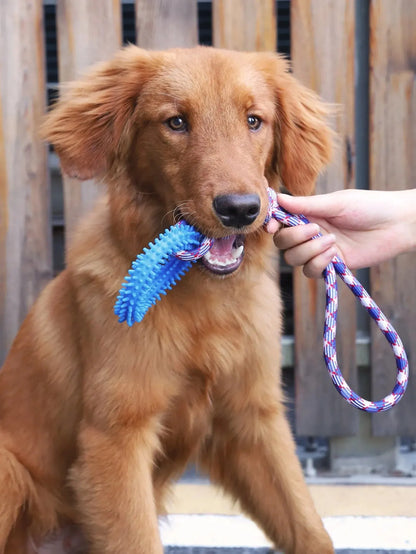 Dog tug toy uses for interactive training