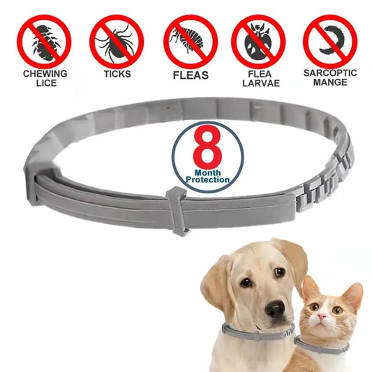 Anti Flea And Ticks Collar for Cat and Dog