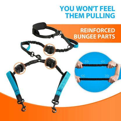 Dual Leads Hands Free Shock Absorbing Dog Leash
