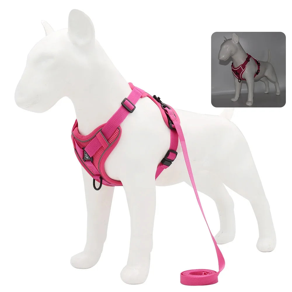 Harness and Leash Set for Small Dog and Cat