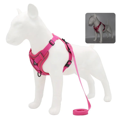 Harness and Leash Set for Small Dog and Cat