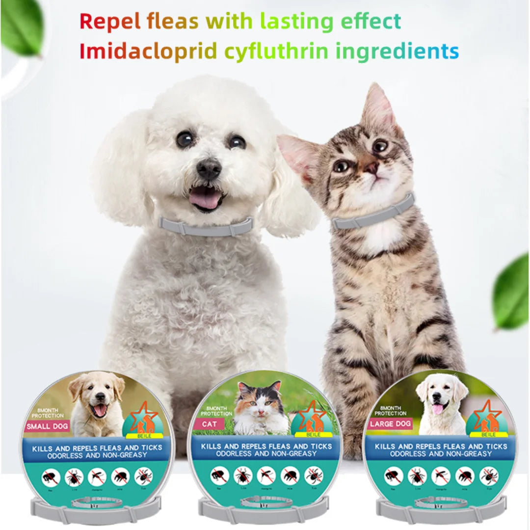 Flea And Ticks Dog or Cat Collar: 8 Month Protection for Small and Large Dogs and Cats