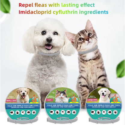Flea And Ticks Dog or Cat Collar: 8 Month Protection for Small and Large Dogs and Cats