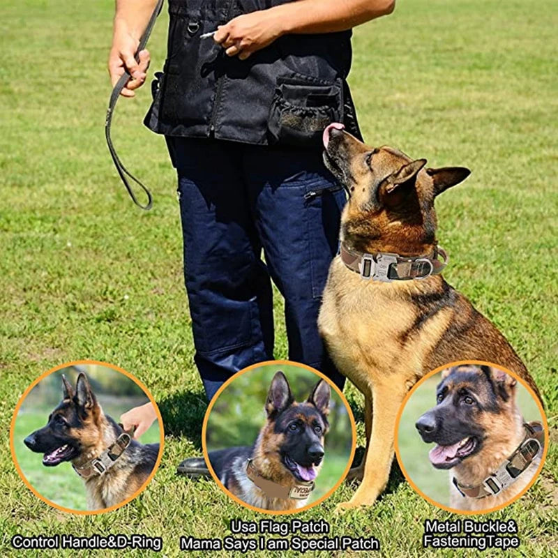 Dog collars with metal buckle and fastening tape
