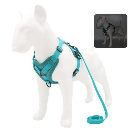 Harness and Leash Set for Small Dog and Cat