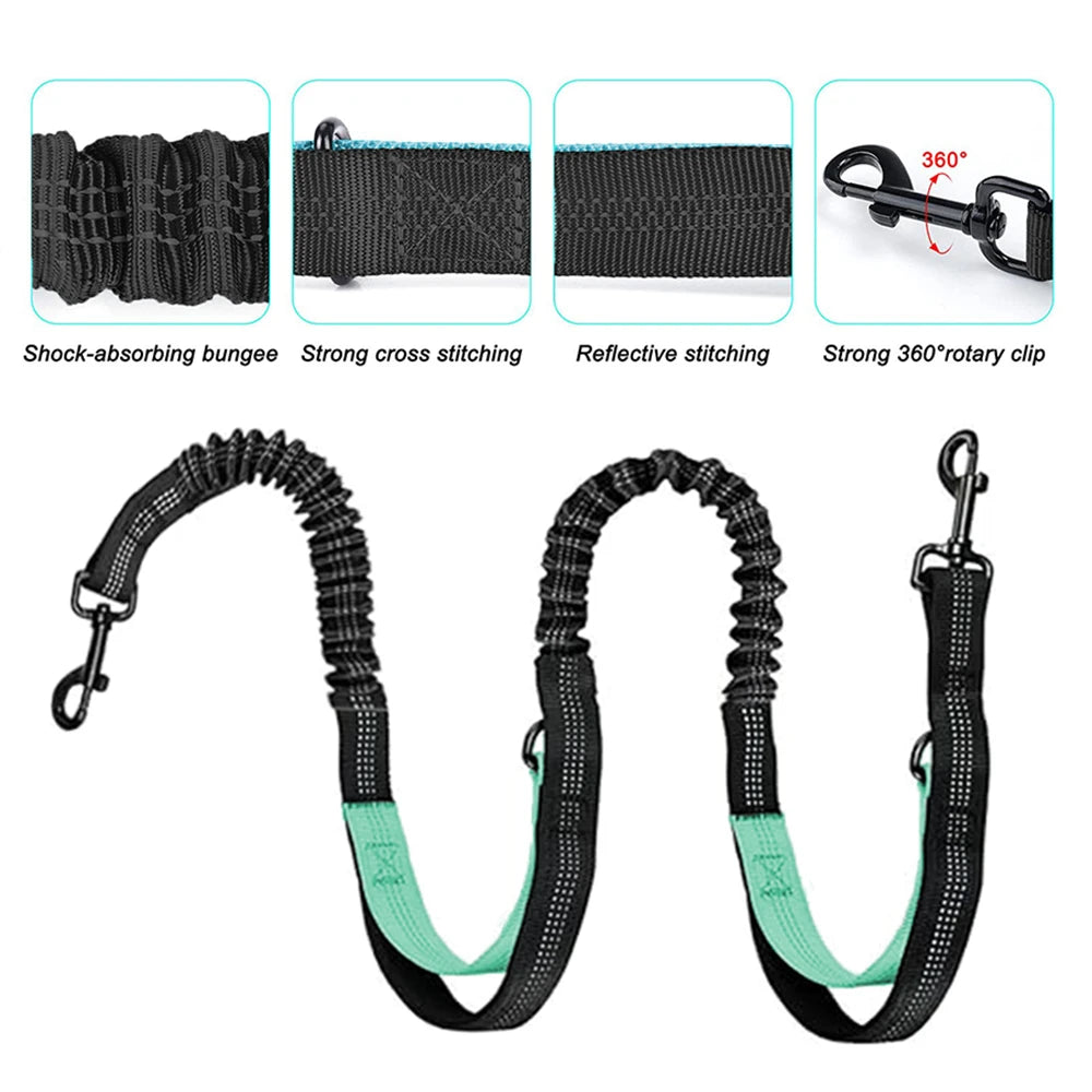 Hands Free Dog Leash For 2 Dogs With Water, Poop Bag Holder and Cell Phone Pouch