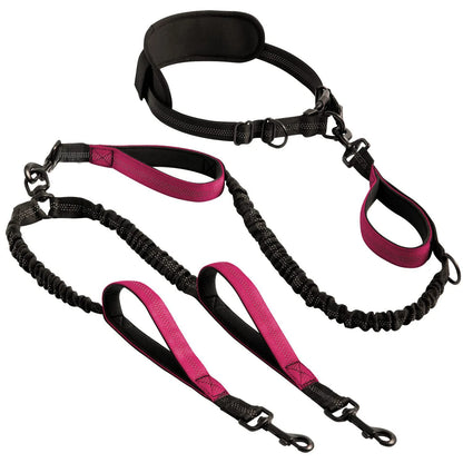 Dual Leads Hands Free Shock Absorbing Dog Leash