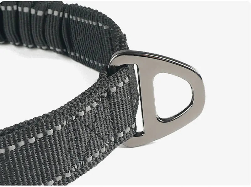 Reflective Nylon Multi-functional Retractable Dog Leash with Car Safety Buckle