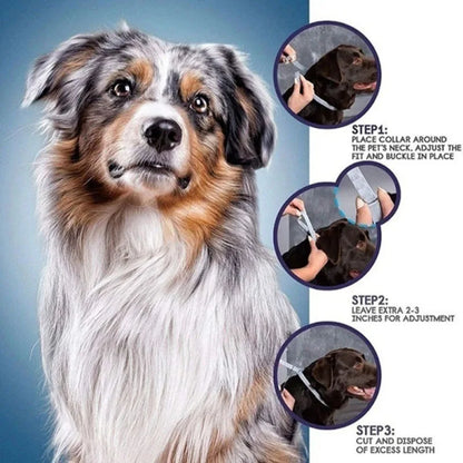 Pet Anti Flea Ticks Antiparasitic Collar for Cat and Dog