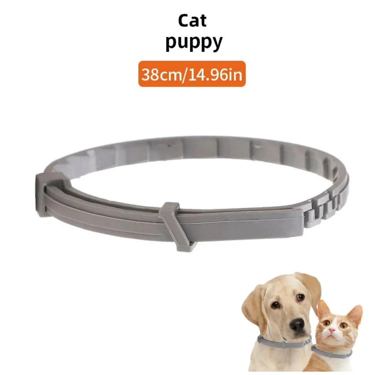 Flea And Ticks Dog or Cat Collar: 8 Month Protection for Small and Large Dogs and Cats