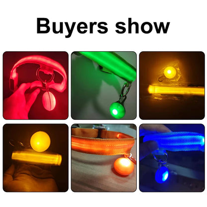Glowing Led Light Dog Collar With Detachable Pendant Usb Charging