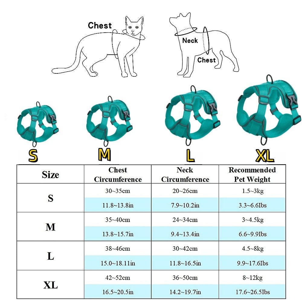 Harness and Leash Set for Small Dog and Cat