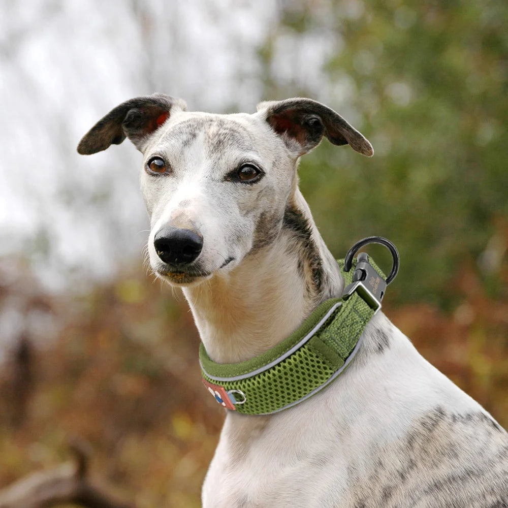 Mesh Breathable Personalised Dog Collar For Small Medium Large Dogs