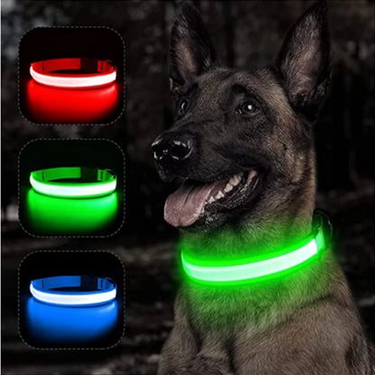 Glowing Led Light Dog Collar With Detachable Pendant Usb Charging