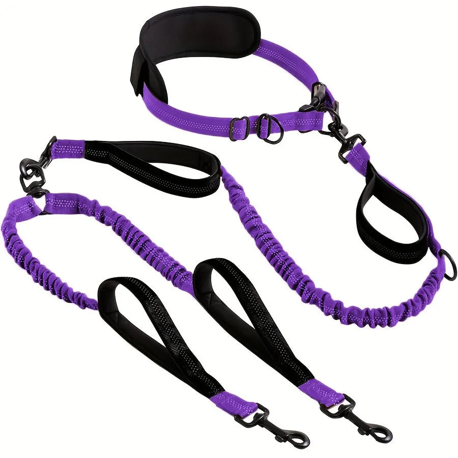 Dual Leads Hands Free Shock Absorbing Dog Leash