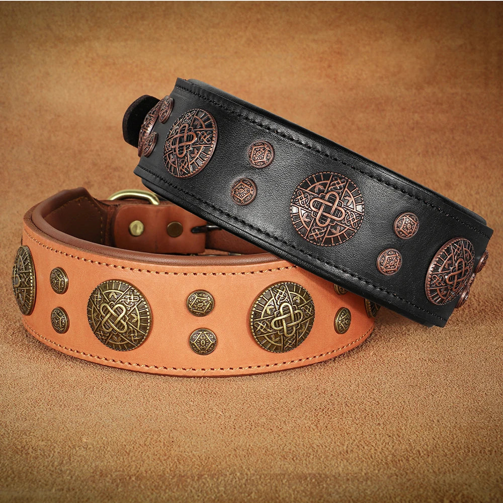 Genuine Leather Dog Collar Cool Spiked Studded for Medium Dogs