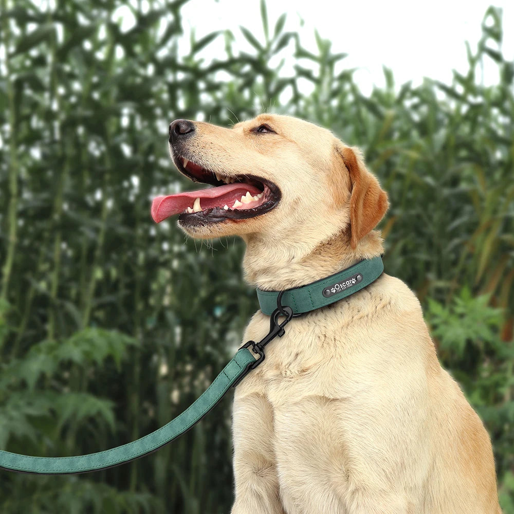 Custom Leather Dog Collar Leash for Small Medium Large Dog