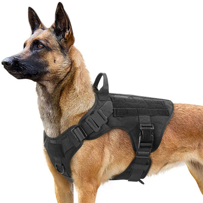 Large or Medium Dog Harness and Leash Set: Military Grade Tactical Harness