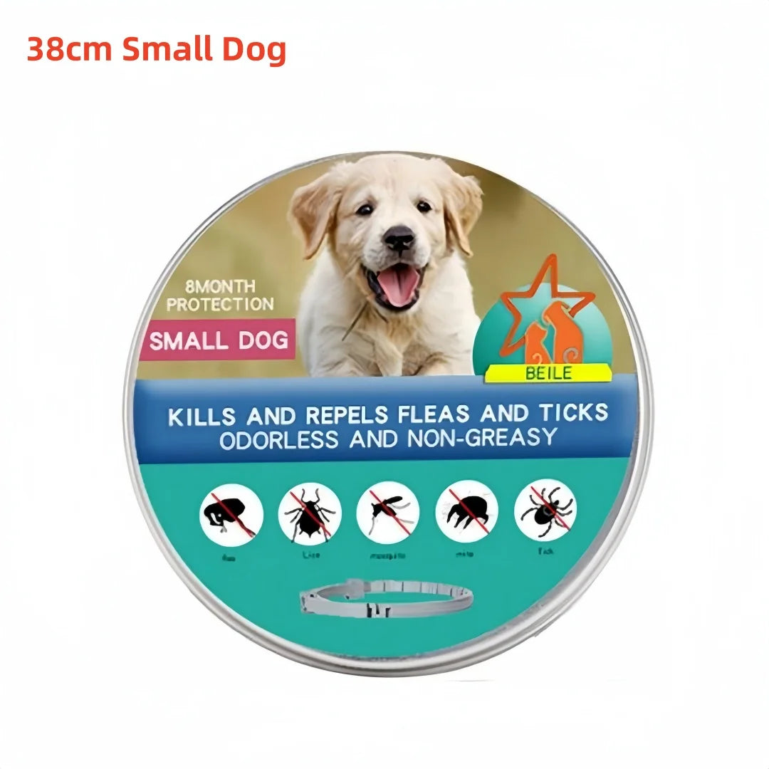 Flea And Ticks Dog or Cat Collar: 8 Month Protection for Small and Large Dogs and Cats