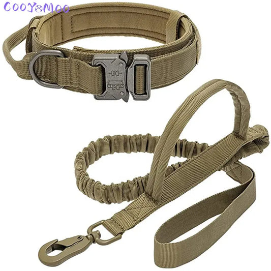 Dog collars Australia military-grade
