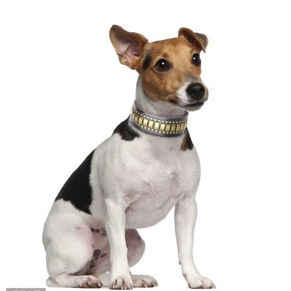 Original Leather Dog Collar 2inch Wide Luxury Riveted Necklace for Medium Large Dogs