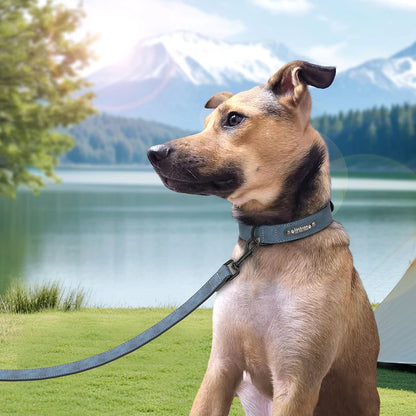 Custom Leather Dog Collar Leash for Small Medium Large Dog