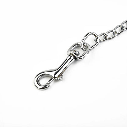 Dog chain leash with hook