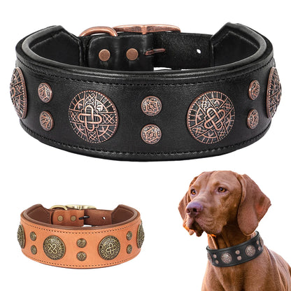Genuine Leather Dog Collar Cool Spiked Studded for Medium Dogs