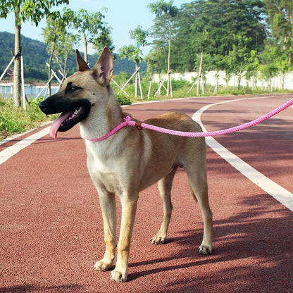 Nylon Slip Lead Dog Leash for No Pull Training