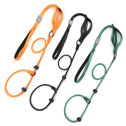 Nylon Slip Lead Dog Slip Leash and Collar