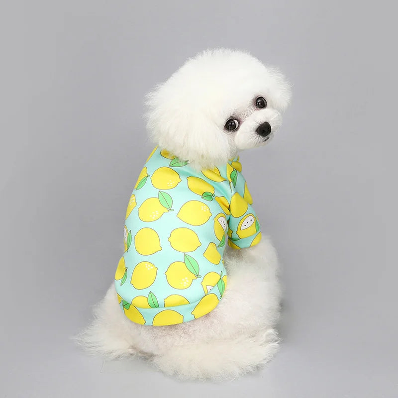 Winter Print clothes for Puppy, Small Medium dog and cat