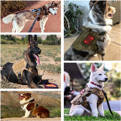 Tactical Harness, Leash and Collar Training Set for Large Medium Dog