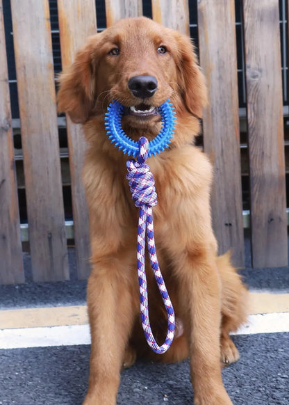 Dog tug toy uses for teeth cleaning