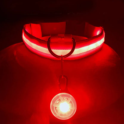 Glowing Led Light Dog Collar With Detachable Pendant Usb Charging