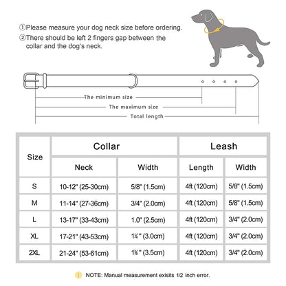 Custom Leather Dog Collar Leash for Small Medium Large Dog