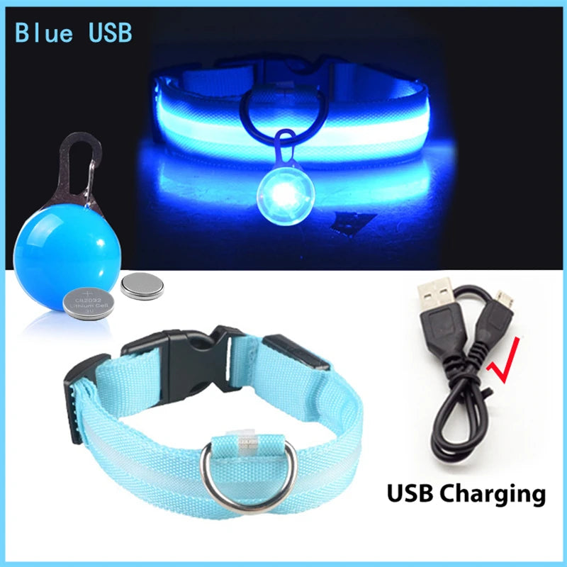 Glowing Led Light Dog Collar With Detachable Pendant Usb Charging