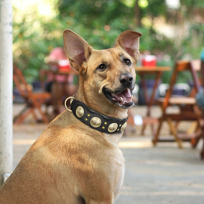 Genuine Leather Dog Collar Spiked Studded Adjustable Necklace for Large or Medium Dog