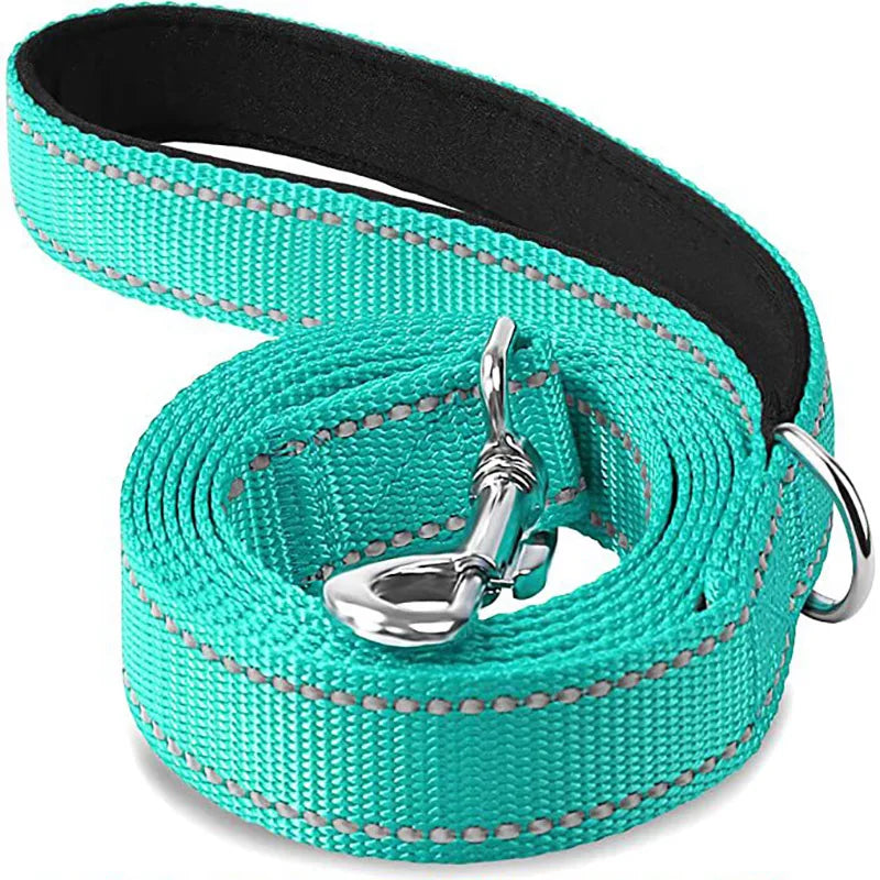 Dogs Lead Strap Night Reflection Walking or Training Leash