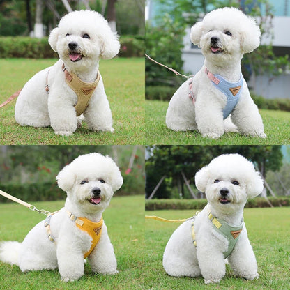 Puppy Harness and Leash Set for Small and Medium Dog