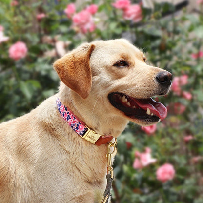 Custom Engraved Flower Printed Dog Collar