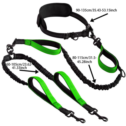 Dual Leads Hands Free Shock Absorbing Dog Leash