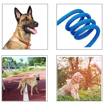 Nylon Slip Lead Dog Leash for No Pull Training