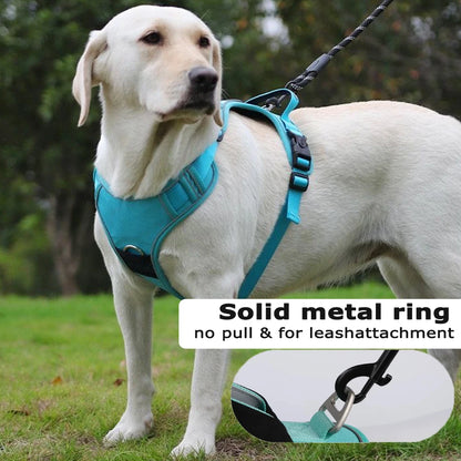 Dog Harness and Leash Set with Airtag Holder