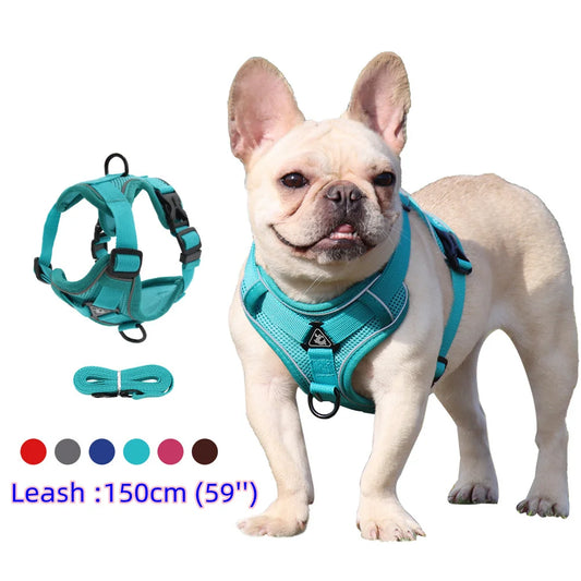 Harness and Leash Set for Small Dog and Cat