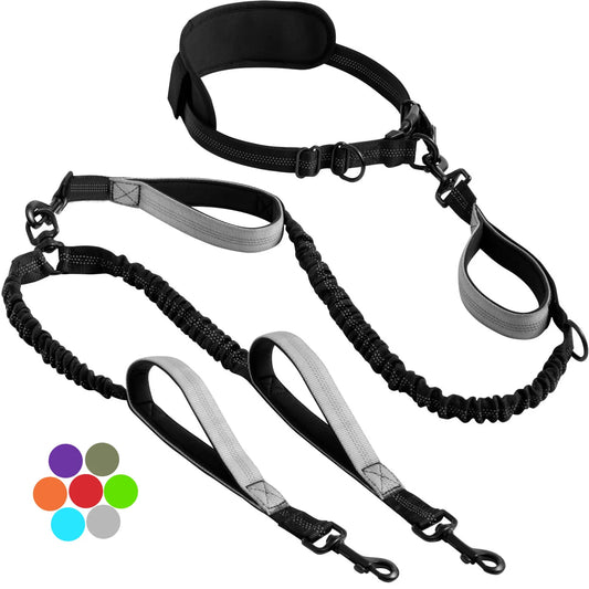 Dual Leads Hands Free Shock Absorbing Dog Leash