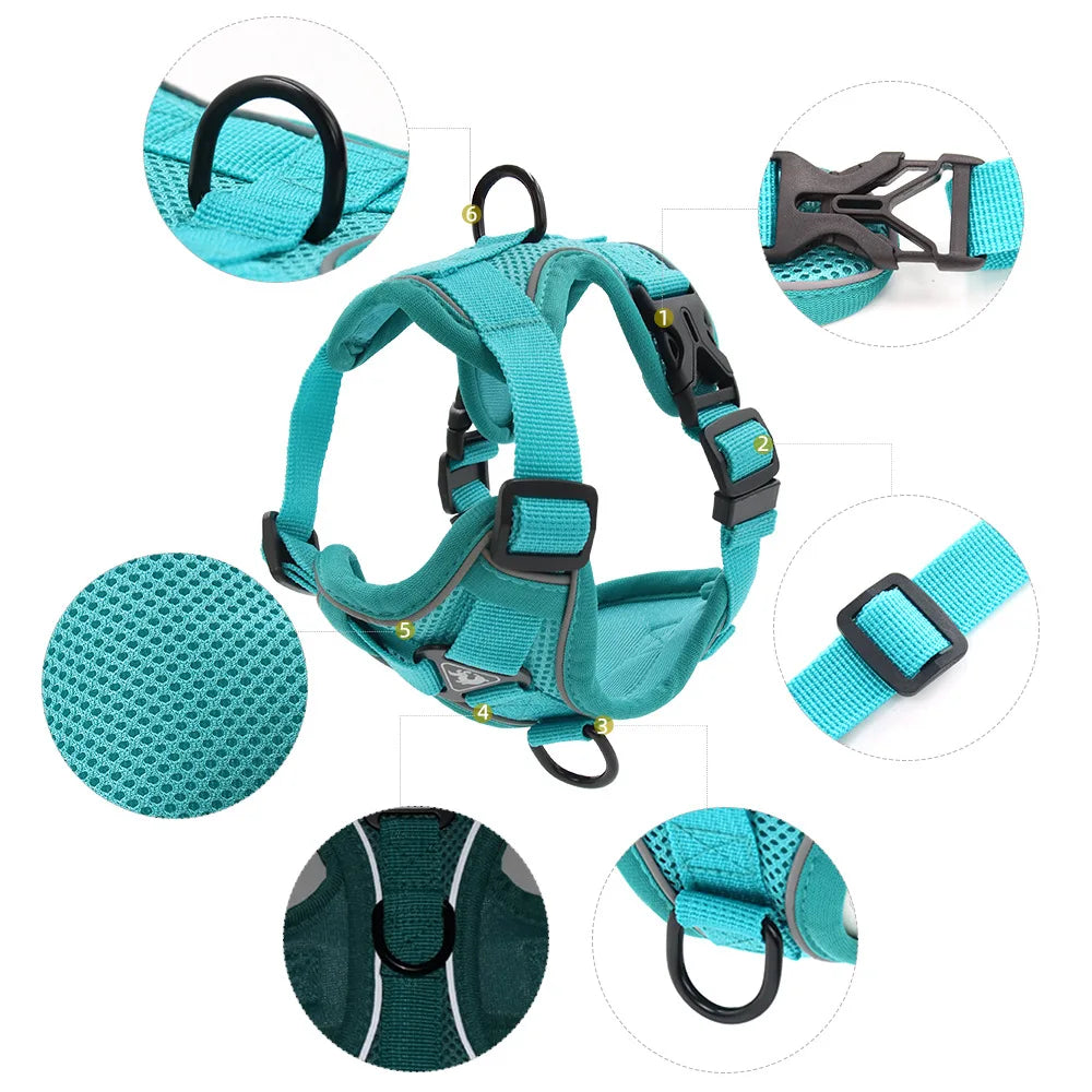 Harness and Leash Set for Small Dog and Cat