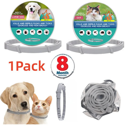 Flea And Ticks Dog or Cat Collar: 8 Month Protection for Small and Large Dogs and Cats